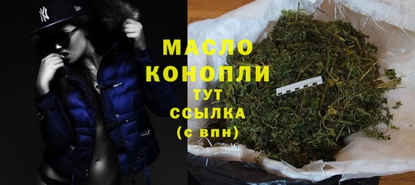 гидра Медвежьегорск