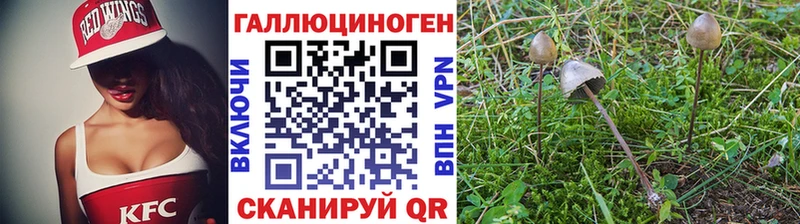 Псилоцибиновые грибы GOLDEN TEACHER  ссылка на мегу tor  Сураж  цена наркотик 